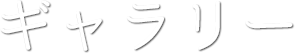 ギャラリー